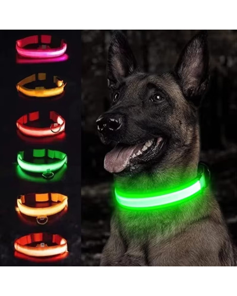 GlowPawz Nylon LED Pet Dog Collar