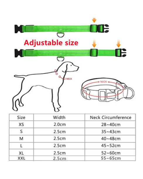 GlowPawz Nylon LED Pet Dog Collar