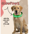 GlowPawz Nylon LED Pet Dog Collar