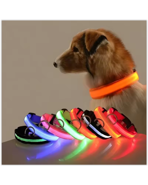 GlowPawz Nylon LED Pet Dog Collar